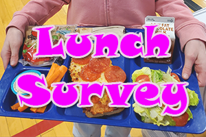 Lunch Survey